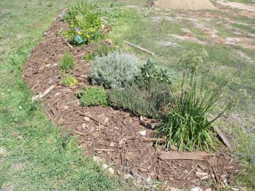 How the herb bed was from Aug 2009 until Dec 2011.