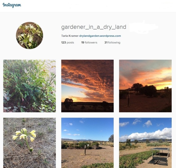 gardener instagram